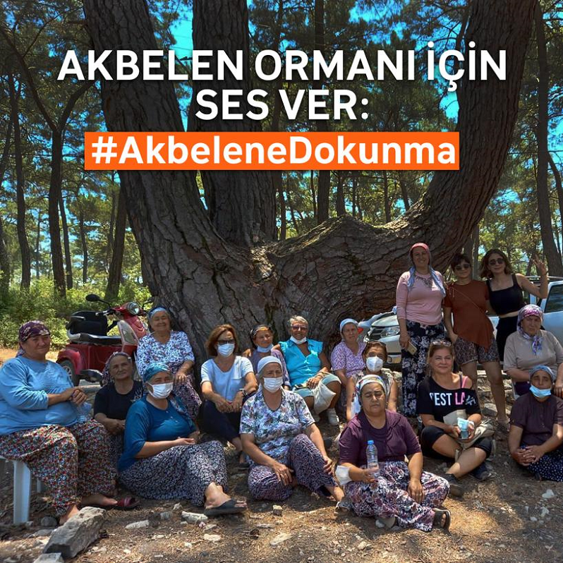 AKBELEN ORMANI’NA SABAH BASKINI: AĞAÇ KESİMİNE BAŞLANDI