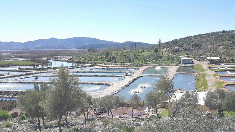 TOPRAK HAVUZLARDA BALIK ÜRETİMİNDE HEDEF BÜYÜYOR