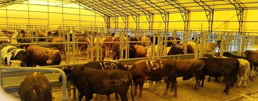 İSTANBUL KURBAN BAYRAMINA HAZIR