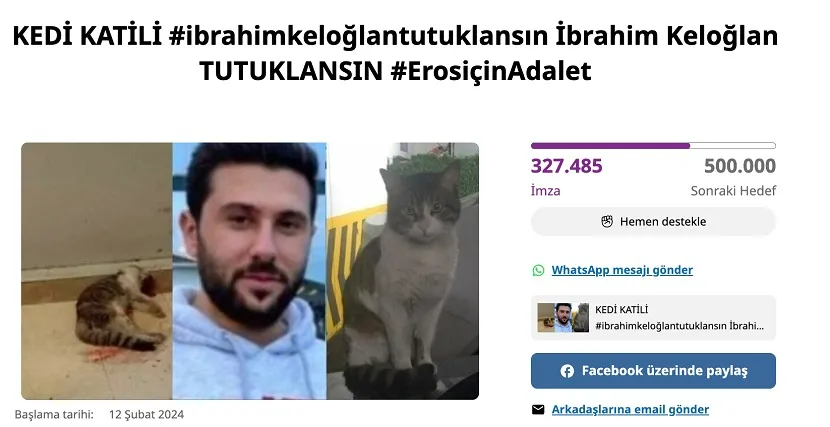 2024’ün İlk 6 Ayında En Fazla İmza Hayvan Hakları İçin Atıldı