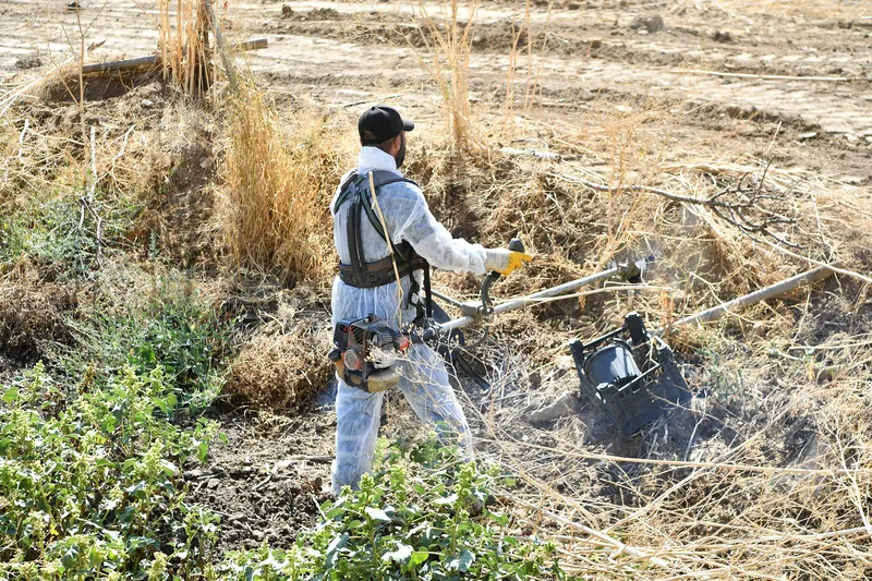 Mamak Kırsalı Hayat Buluyor
