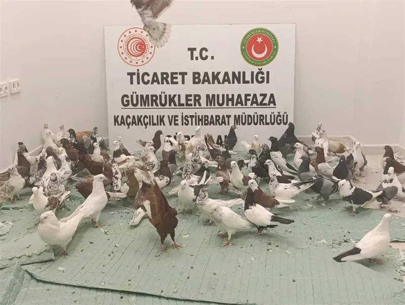 Gümrük Ekipleri Gürbulak