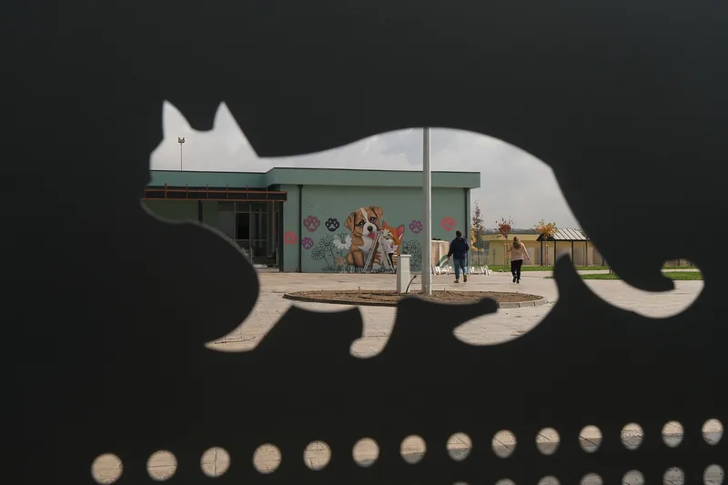 Doğal Yaşam Kampüsü’ne anlam katan grafiti sanatı