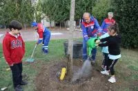 KÂĞITHANE’DE DOĞAN HER BEBEK İÇİN BİR FİDAN TOPRAKLA BULUŞUYOR