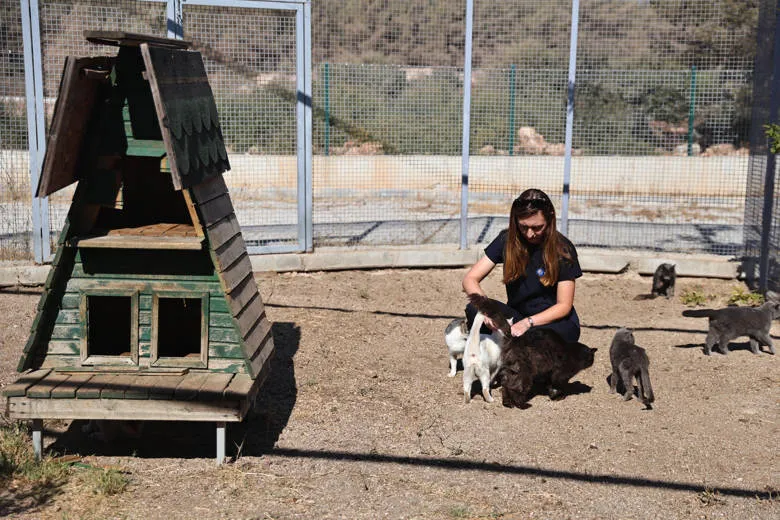 Büyükşehir patili dostları sahipsiz bırakmıyor