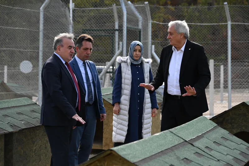 Hayvan Bakımevi ve Doğal Yaşam Alanı