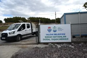 Sokak Hayvanları Doğal Yaşam Merkezi Ziyarete Açılıyor