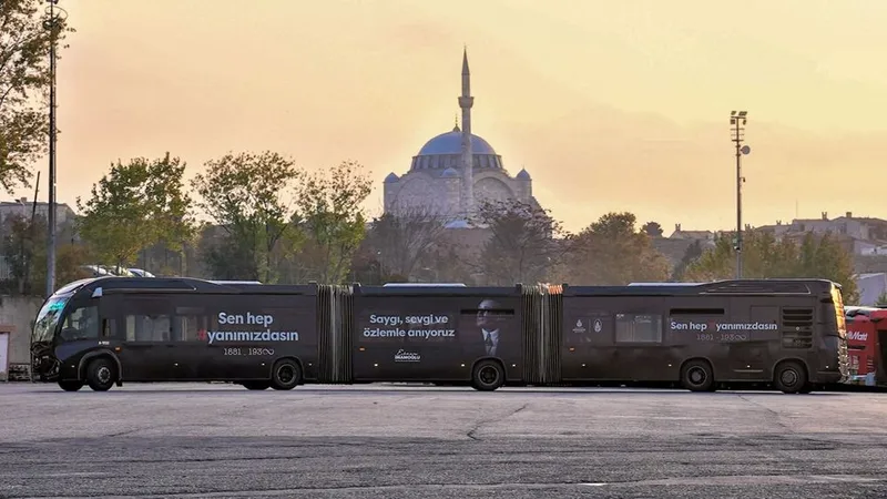 MİLLİ MATEMİN 87 YILI