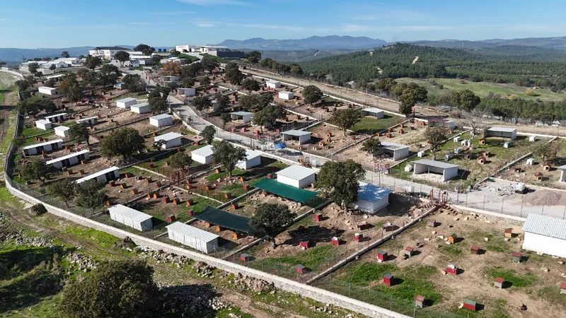 Yunusemre Hayvan Yaşam Merkezi, sahipsiz hayvanlara modern yuva oldu