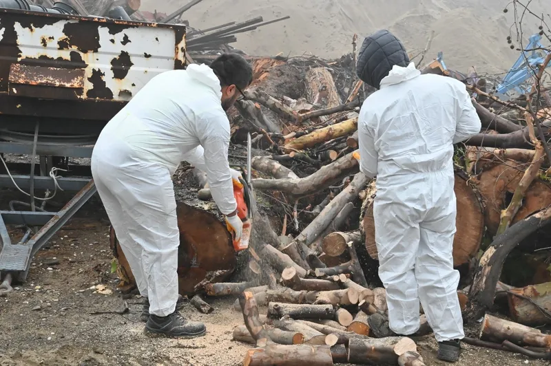 Manisa Büyükşehir Belediyesi, Kışlık Yakacak İçin Odun Dağıtımına Başladı