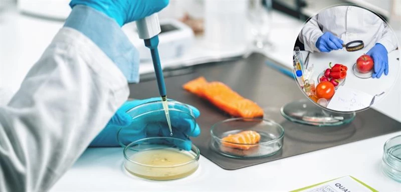 AVRUPA GIDA GÜVENLİĞİ OTORİTESİNİN (EFSA) GIDA GÜVENİLİRLİĞİ İÇİN YÜRÜTTÜĞÜ KAMPANYAYA TÜRKİYE DE DAHİL OLDU