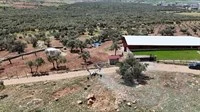 Mardin Büyükşehir Belediyesi