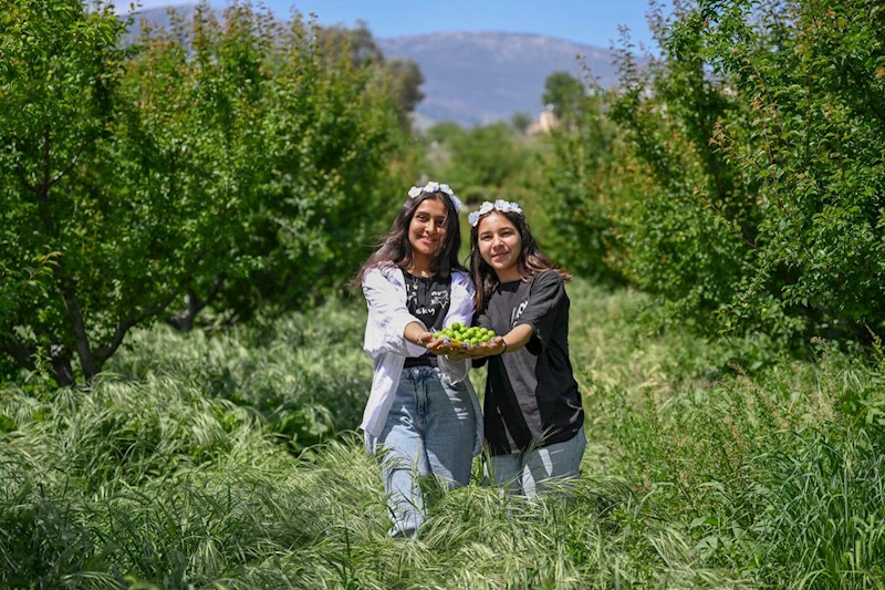 4. Göksu Gravga Şenliği’nde Lezzet ve Eğlence Bir Arada