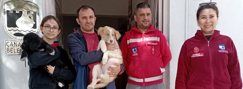 Can Dostlarımız İçin Çalışmalar Sürüyor...