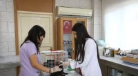 Kepez’in can dostları emin ellerde