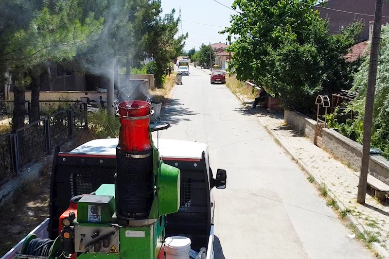 TEPEBAŞI