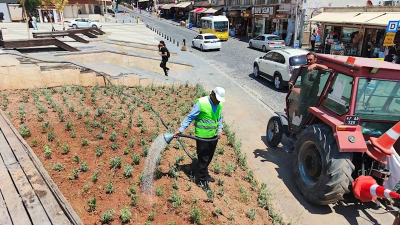 Tarihi 1. Cadde ve Cumhuriyet Meydanı Lavanta Kokacak