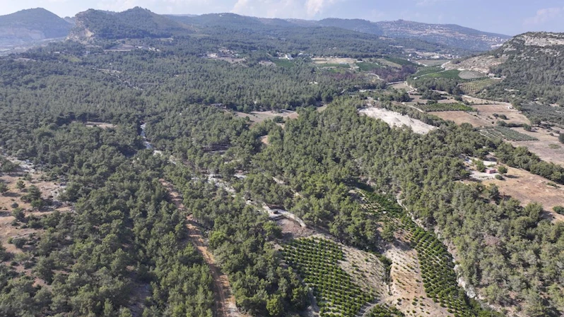 Emirler Orman Parkı Piknik Alanı’nda Ateş Yakmak Yasaklandı