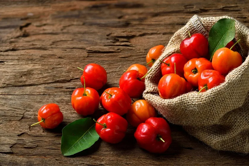 Acerola: En doğal ve güçlü C Vitamini kaynağı!