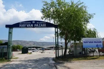 BÜYÜKŞEHİR HAYVAN PAZARI GEÇİCİ OLARAK KAPATILDI